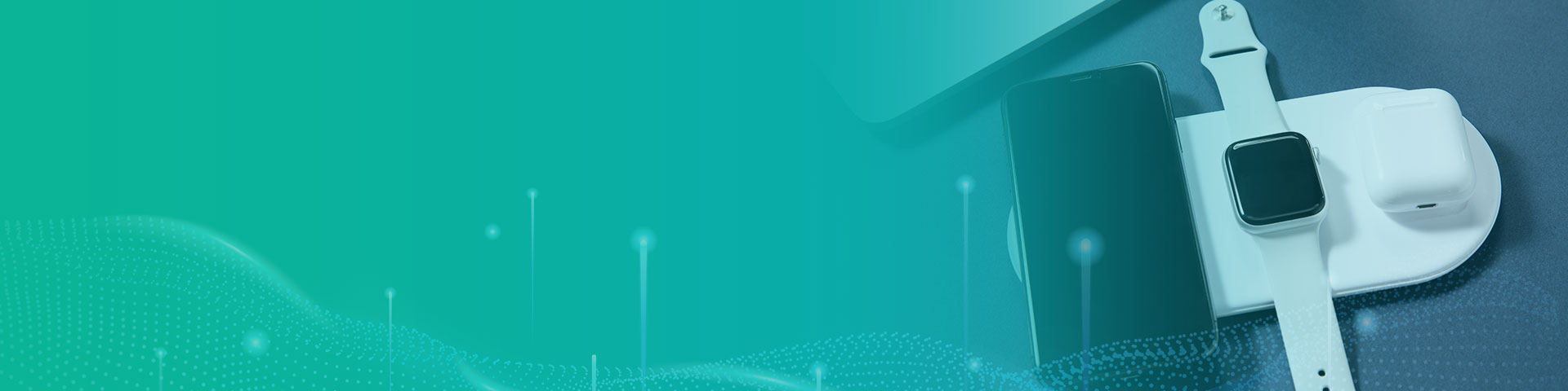 ���ĵ���